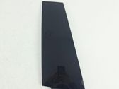 Other front door trim element