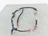 Wires (starter motor)