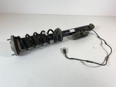 Rear shock absorber/damper