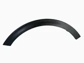 Fender trim (molding)