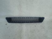 Front bumper lower grill