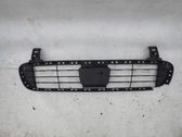 Front bumper lower grill