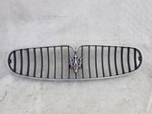 Front bumper upper radiator grill