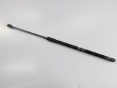 Tailgate/trunk strut/damper