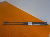 Pidike (kiinnike)