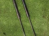 Tailgate/trunk strut/damper