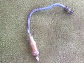 Sonde lambda