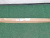 Front door glass trim molding