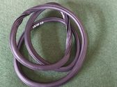 Rear door rubber seal (on body)