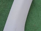 (C) pillar trim