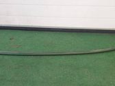 Rear bumper trim bar molding