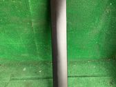 Rear door trim (molding)