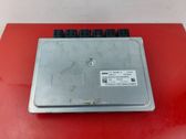 Engine control unit/module ECU
