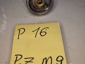 LP gas line/pipe/hose