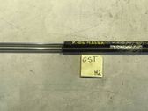 Front bonnet/hood damper/strut