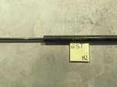 Tailgate/trunk strut/damper