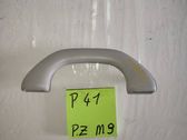 Front interior roof grab handle
