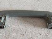 Front interior roof grab handle