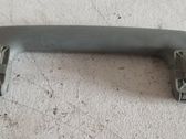 Front interior roof grab handle