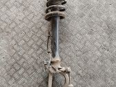 Front shock absorber with coil spring