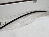 Trim molding