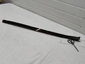 Windshield trim