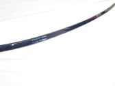 Roof trim bar molding cover