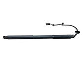 Tailgate/trunk strut/damper