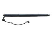 Tailgate/trunk strut/damper