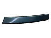 Moldura embellecedora del guardabarros trasero