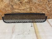 Front bumper lower grill