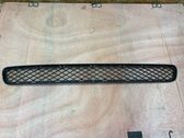 Front bumper lower grill