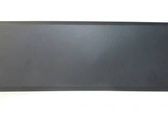 Listón embellecedor de la puerta delantera (moldura)