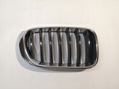 Front bumper upper radiator grill