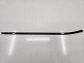 Front door glass trim molding