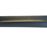 Front door trim (molding)