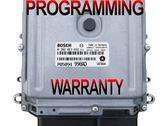 Engine control unit/module ECU