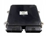 Engine control unit/module ECU
