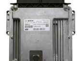 Engine control unit/module ECU