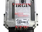 Engine control unit/module ECU
