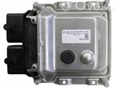 Engine control unit/module ECU