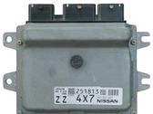 Engine control unit/module ECU