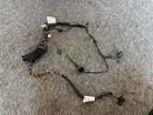 Front door wiring loom