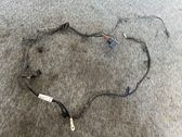 Other wiring loom