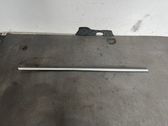 Front door trim (molding)