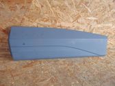 Rear door trim (molding)