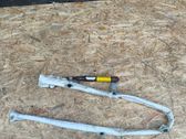Roof airbag