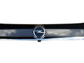 Tailgate/trunk/boot exterior handle