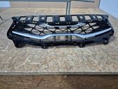 Kühlergrill