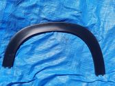 Fender trim (molding)